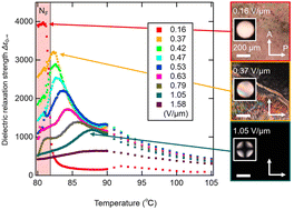 Graphical abstract: Field-induced phase transition behaviour of ferroelectric nematic liquid crystals under DC electric fields