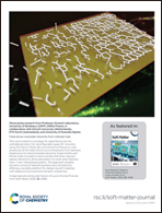 Graphical abstract: Back cover