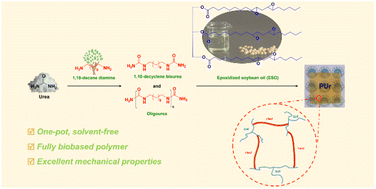 Graphical abstract: One-pot synthesis of fully biobased polyureas with excellent mechanical properties from epoxidized soybean oil