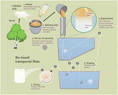 Graphical abstract: Semi-continuous, industrial-like production of transparent cellulose films by means of the Lyocell-type Ioncell® process
