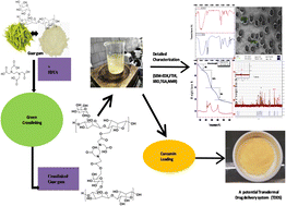 Graphical abstract: EDTA-mediated crosslinking of guar gum: a sustainable platform for transdermal curcumin delivery