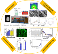 Graphical abstract: Mechano-stimuli-responsive engineered device mimicking native anisotropy towards tissue regeneration