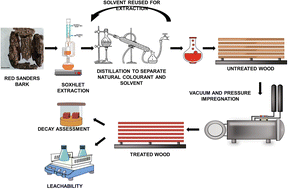 Graphical abstract: Red sanders bark extracts as effective bio-protective agents against fungal and termite degradation of plantation timbers