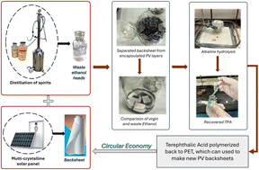 Graphical abstract: Recovery of terephthalic acid from solar PV backsheets using waste solvent from distilled spirits production
