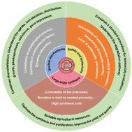 Graphical abstract: Carbon dots in agriculture: fundamentals, applications and perspectives