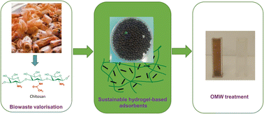 Graphical abstract: Activated carbon versus montmorillonite embedded on porous chitosan beads for the treatment of olive mill wastewater: a comparative study