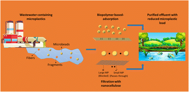 Graphical abstract: Microplastic removal from wastewater through biopolymer and nanocellulose-based green technologies