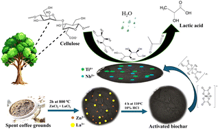 Graphical abstract: Spent coffee ground-derived biochar with trimodal porosity: green biochar supported highly dispersed TiO2 and Nb2O5 nanoparticles as an efficient novel catalyst for lactic acid synthesis