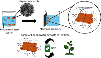 Graphical abstract: Production of magnesium ferrite for use as phosphate adsorbents in water
