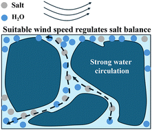 Graphical abstract: Salinity resistance and wind-enhanced evaporation of biomass-derived foam for sustainable solar desalination