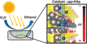 Graphical abstract: Polypropylene microplastic degradation using ultraporous polarized hydroxyapatite and sunlight