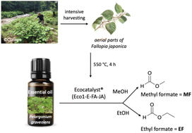 Graphical abstract: First sustainable synthesis of biobased ethyl and methyl formates by ecocatalysis