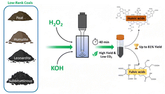 Graphical abstract: Kinetic analysis and optimization of sonoreactor process for production of humic and fulvic acids from various coal feedstocks
