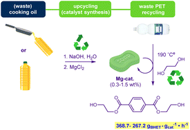 Graphical abstract: Upcycle to recycle: triglyceride-derived magnesium soaps as stable, sustainable and efficient catalysts for poly(ethylene terephthalate) glycolysis