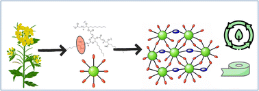 Graphical abstract: Semi-crystalline and recyclable pressure sensitive adhesives from non-edible rapeseed oil-based hyperbranched polyester vitrimers