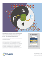 Graphical abstract: Back cover