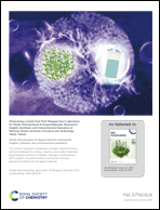 Graphical abstract: Back cover