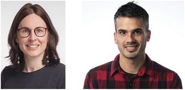 Graphical abstract: Defossilising chemical industries