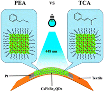 Graphical abstract: Organic shell engineering of CsPbBr3 perovskite quantum dots for efficient textile-based photodetectors