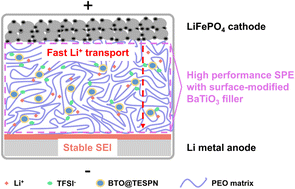 Graphical abstract: Surface-modified BaTiO3 as a functional filler in poly(ethylene oxide)-based solid polymer electrolytes for lithium-metal batteries