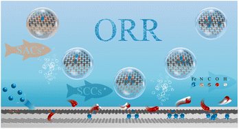 Graphical abstract: Multilayer graphene effects on Fe–N-C catalysts: elucidating atomic aggregation and oxygen reduction reaction activity