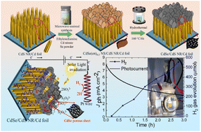 Graphical abstract: Fabrication of CdSe nanosheet/CdS nanorod heterojunctions through topotactic transformation of self-template photoanode for enhanced photoelectrochemical hydrogen production