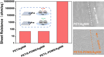 Graphical abstract: Semi-curing combined with low-pressure mechanical pressing strategy for realizing high adhesion and low surface roughness Ag-NW transparent electrodes