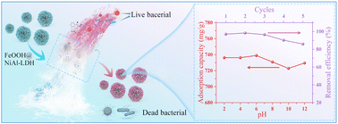 Graphical abstract: Extreme pH-tolerant FeOOH@NiAl-LDH nanohybrid adsorbents: ultra-stable dye adsorption driven by multiple synergistic mechanisms and potent antibacterial performance