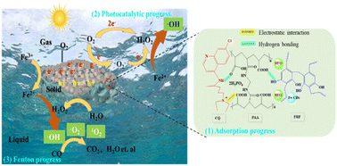Graphical abstract: Boosting hydroxyl radical production via floatable S-scheme heterojunction-integrated polyacrylic acid hydrogels as a photo-self-Fenton catalyst for pollutant removal