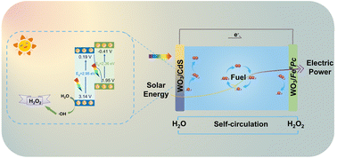 Graphical abstract: A constructed 3D porous hierarchical micro-flower WO3/CdS S-scheme heterojunction for boosting photocatalytic H2O2 production and photoelectrochemical cell performance