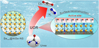 Graphical abstract: Boosting surface reconstruction in engineered nickel sites through selenium vacancies to enhance urea oxidation reaction