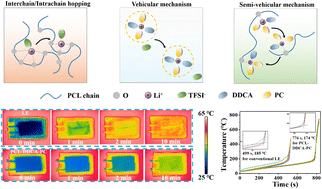 Graphical abstract: Boosting the lithium transport in phase-change polymer electrolytes towards stable cycling lithium metal batteries with thermal robustness