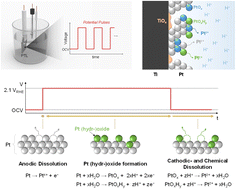 Graphical abstract: Accelerated degradation of Pt-coated Ti porous transport layers under dynamic potential pulses in PEMWEs