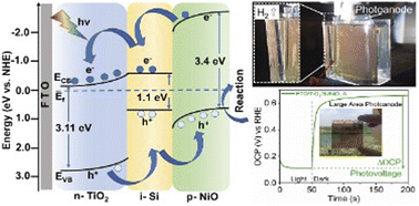 Graphical abstract: High-performance silicon-based n–i–p heterojunction photoanode for efficient photoelectrochemical water splitting: fabrication, optimization, and large-scale application
