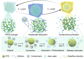 Graphical abstract: A solar-driven heterojunction hydrogel with reversible phase transition for efficient photocatalytic decontamination and freshwater generation