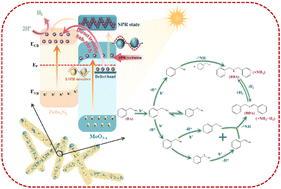 Graphical abstract: A localized surface plasmon resonance-interface induces ultrafast hot-electron spatiotemporal transfer for boosting photocatalytic H2 evolution integrated with benzylamine C–N coupling