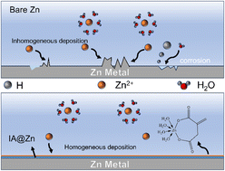 Graphical abstract: Constructing coordination compound interphases for superior zinc-ion battery performance