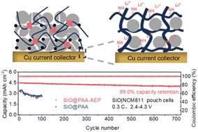 Graphical abstract: A polymer binder with amine-facilitated lithium-ion transfer, enabling high-loading silicon-based anodes