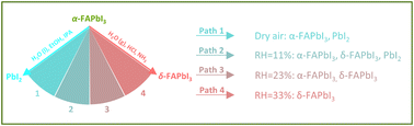 Graphical abstract: Dispersive precipitation of PbI2 for the formation of α-FAPbI3 solar cells with optimized optoelectronic properties