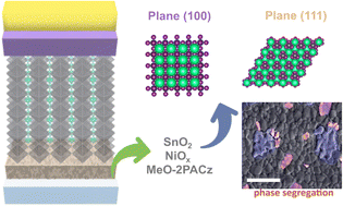 Graphical abstract: The influence of the buried interface on the orientational crystallization and thermal stability of halide perovskite thin films