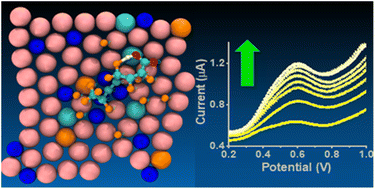 Graphical abstract: Ultrasensitive detection of forever chemical perfluorooctanoic acid using two-dimensional aluminum quasicrystal