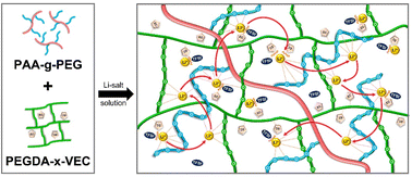 Graphical abstract: Semi-interpenetrating polymer network electrolyte membrane for enhanced lithium-ion transport and interfacial stability in silicon-based lithium-ion battery