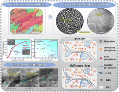 Graphical abstract: Triple hierarchical precipitation and serrated grain boundaries strengthened co-free medium-entropy alloys