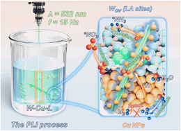 Graphical abstract: Promotion of nitrite and nitrate conversion into ammonia by improving *H utilization via the construction of dual active centers