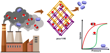 Graphical abstract: A pcu topology metal–organic framework, Ni(1,4-bib)(inca)2, that exhibits high CO2/N2 selectivity and low water vapour affinity