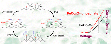 Graphical abstract: Insight into the oxygen evolution reaction mechanism catalyzed by phosphate-substituted FeCo2O4 nanosheets: proton-coupled electron transfer assisted adsorbate evolution mechanism investigated by in situ NAP-XPS