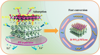 Graphical abstract: Morphology and electron regulation of B-WS2@MXene nanosheet array heterojunctions to upgrade the capacity and longevity of lithium–sulfur batteries