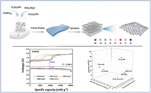 Graphical abstract: Tuning nickel single-atom coordination in ternary N-, P-, and S-doped graphene for improved Li–O2 batteries
