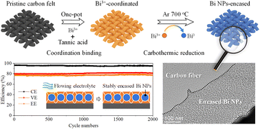 Graphical abstract: Tannic acid-assisted surface encasing of bismuth nanoparticles on carbon felt for high-performance vanadium redox flow batteries