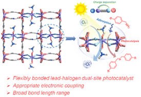 Graphical abstract: Flexibly bonded lead–halogen dual sites of coordination polymers for photocatalytic C–N coupling